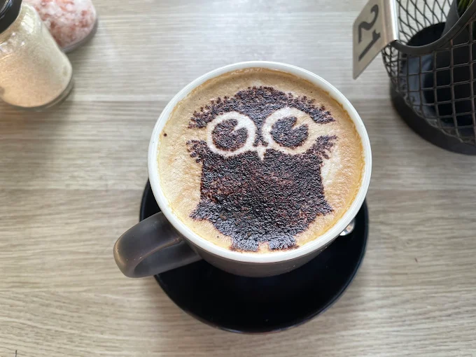 A cappuccino with the Tick Tok owl drawn in cocoa on the foam
